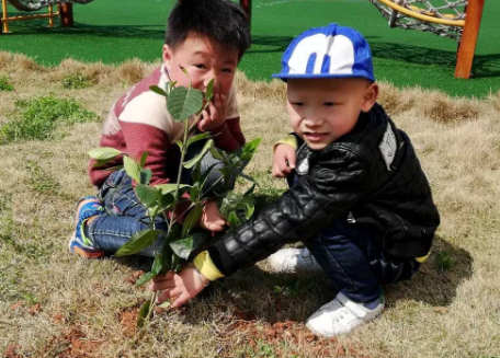 2019幼儿园植树节通讯报道 植树节幼儿园新闻报道内容