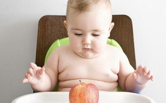 宝宝长得胖是养得好吗 儿童过度肥胖有什么危害