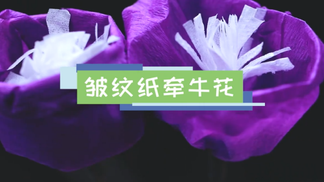 皱纹纸牵牛花视频教程 皱纹纸牵牛花做法步骤